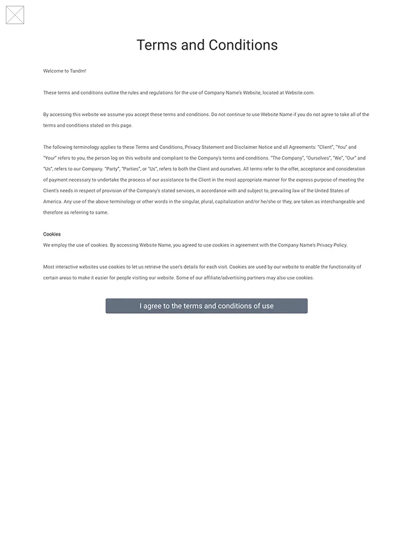 Wireframe: Terms and conditions